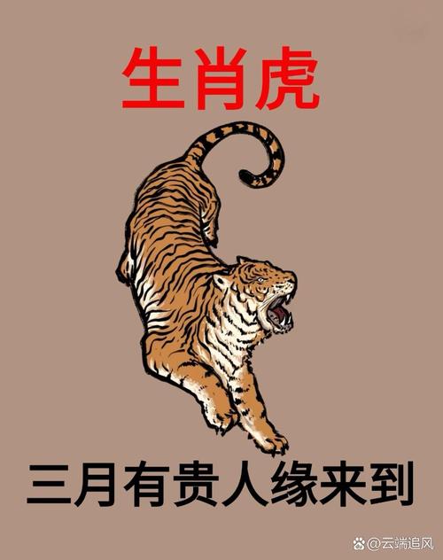 什么生肖旺虎生财,什么生肖旺虎生财运