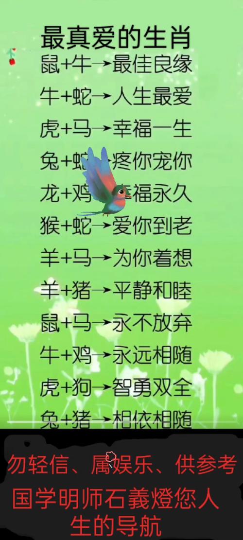 爱字的最佳生肖,爱代表着什么生肖