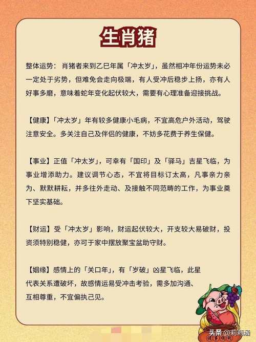 十二生肖猪今日运势运程,生肖猪今日运势属猪人今日财运