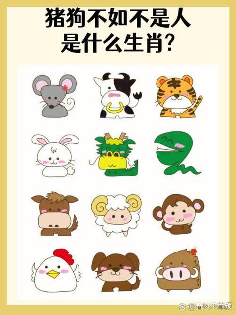 什么生肖发金光最佳答案,十二生肖发金光的动物是什么?