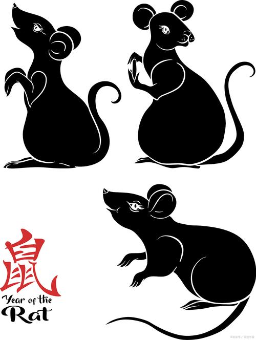机灵好动的动物猜生肖,机灵的动物是哪一个生肖