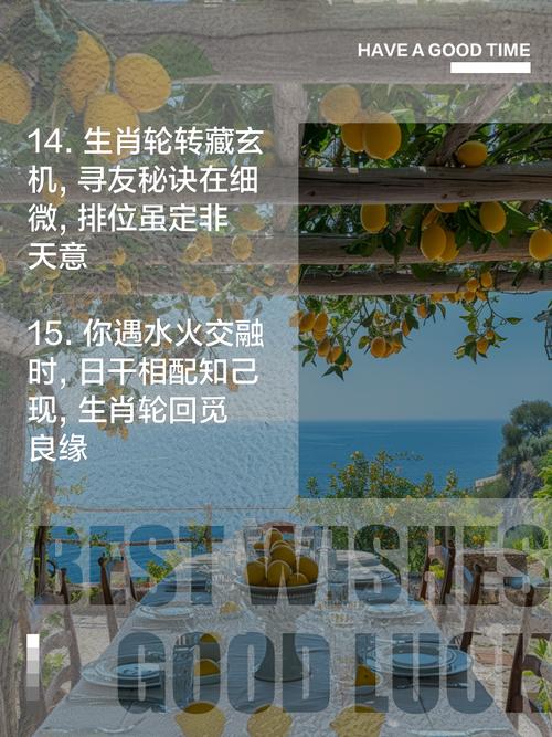 排位生肖是什么生肖,排位生肖寻知己猜一肖