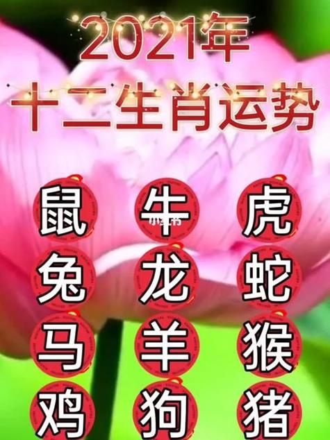 今日打一生肖推荐,今日什么生肖2021年