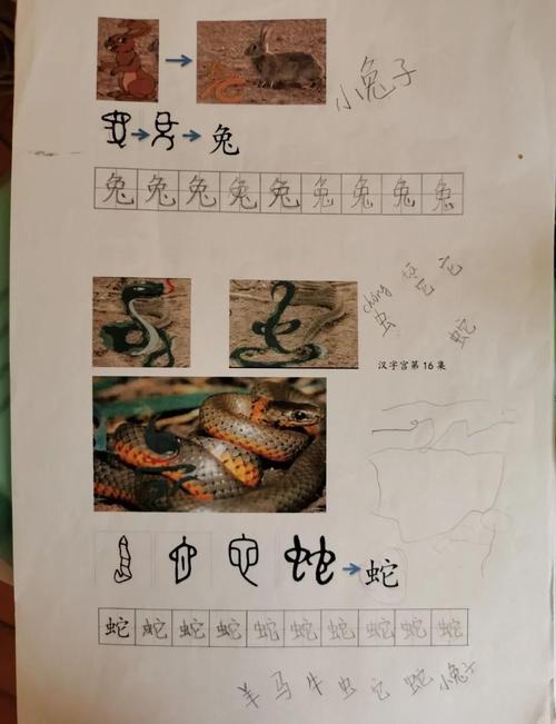 与动物有关的字,与动物有关的汉字都有什么