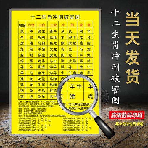 n打一生肖,指什么生肖啊