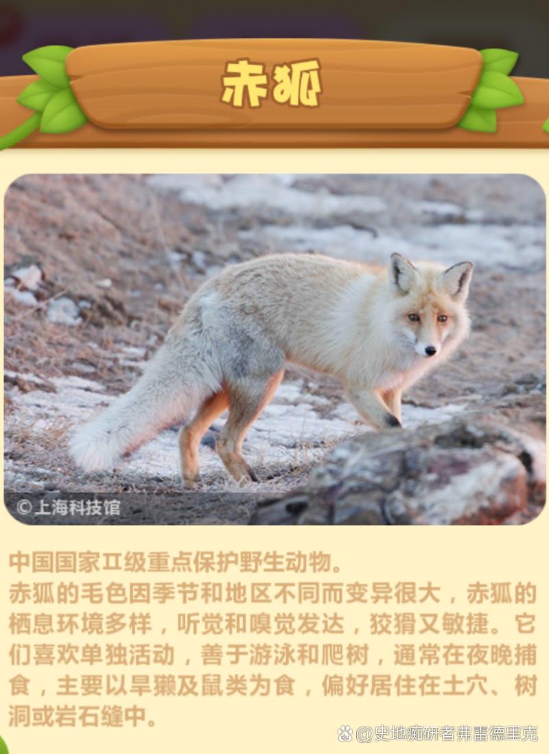 兽是动物正确答案,哪些动物属于兽类动物