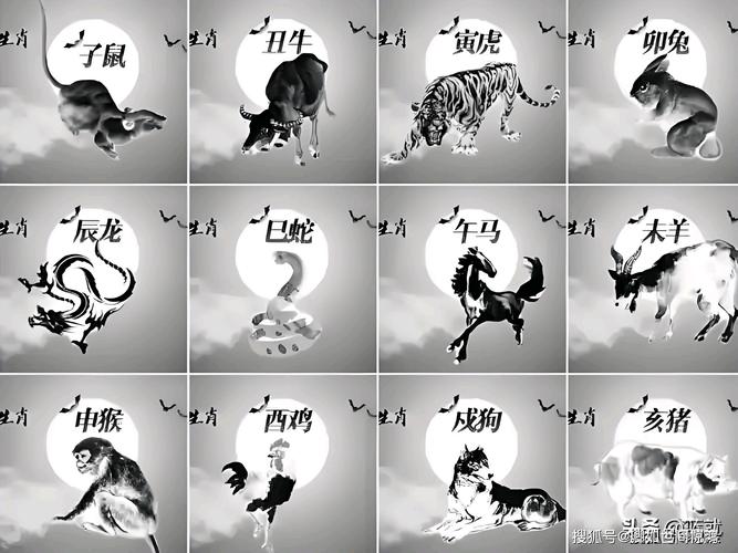 十二生肖最懒的生肖,12生肖最懒的生肖排名