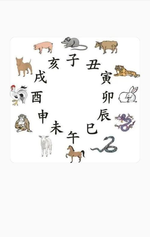 一三四二三合到打一生肖,一三四二三合到打一生肖什么