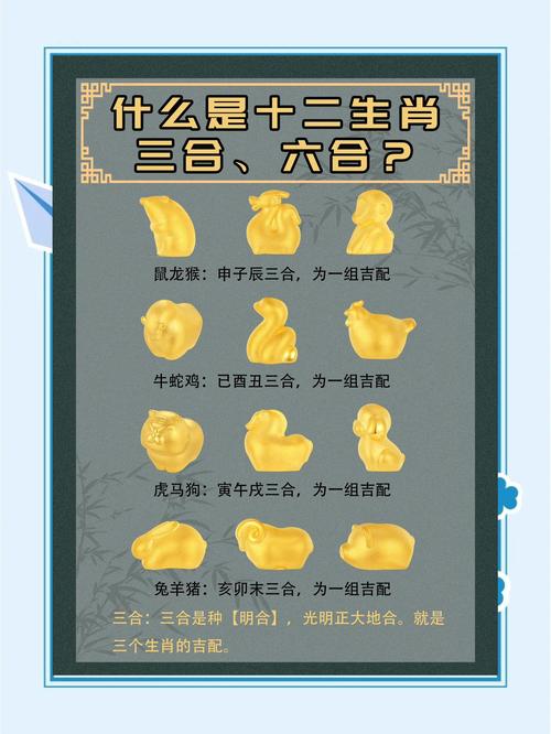 二人三足打一个生肖,二人三足打一生肖或数字