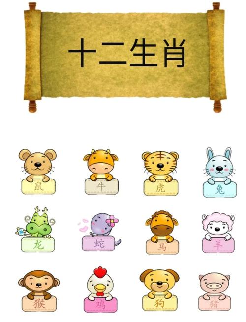 六一到十二生肖最正确,六一到十二生肖最正确的动物