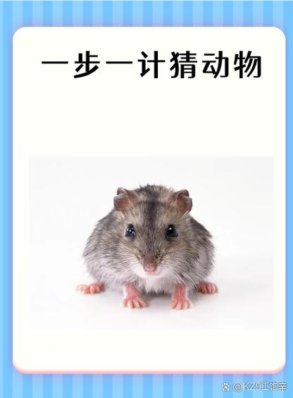 二撩三边愁听尽开过猜生肖的简单介绍