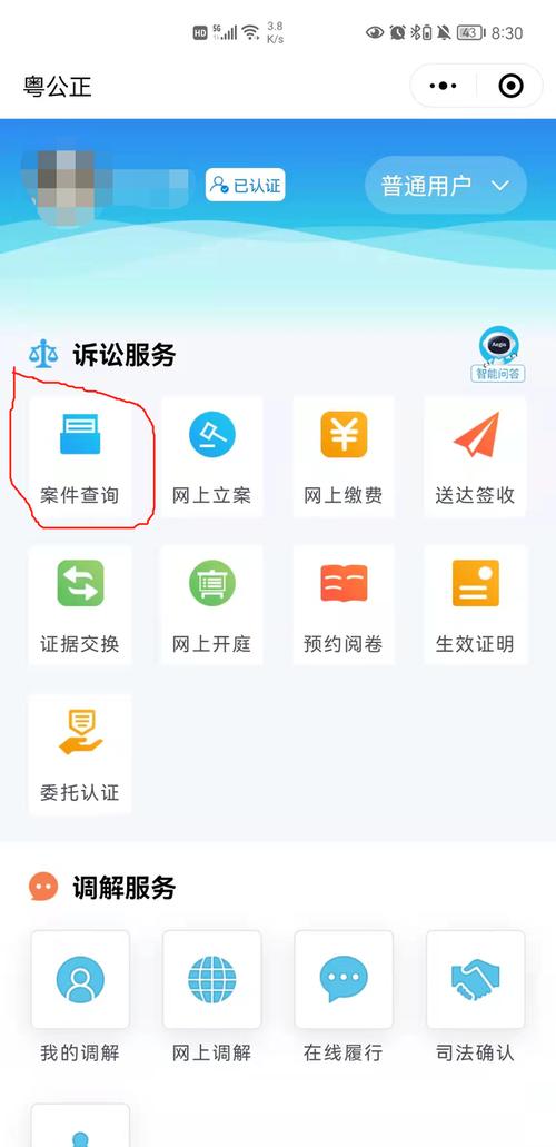 输入姓名查询案件,输入姓名查案件12368官网