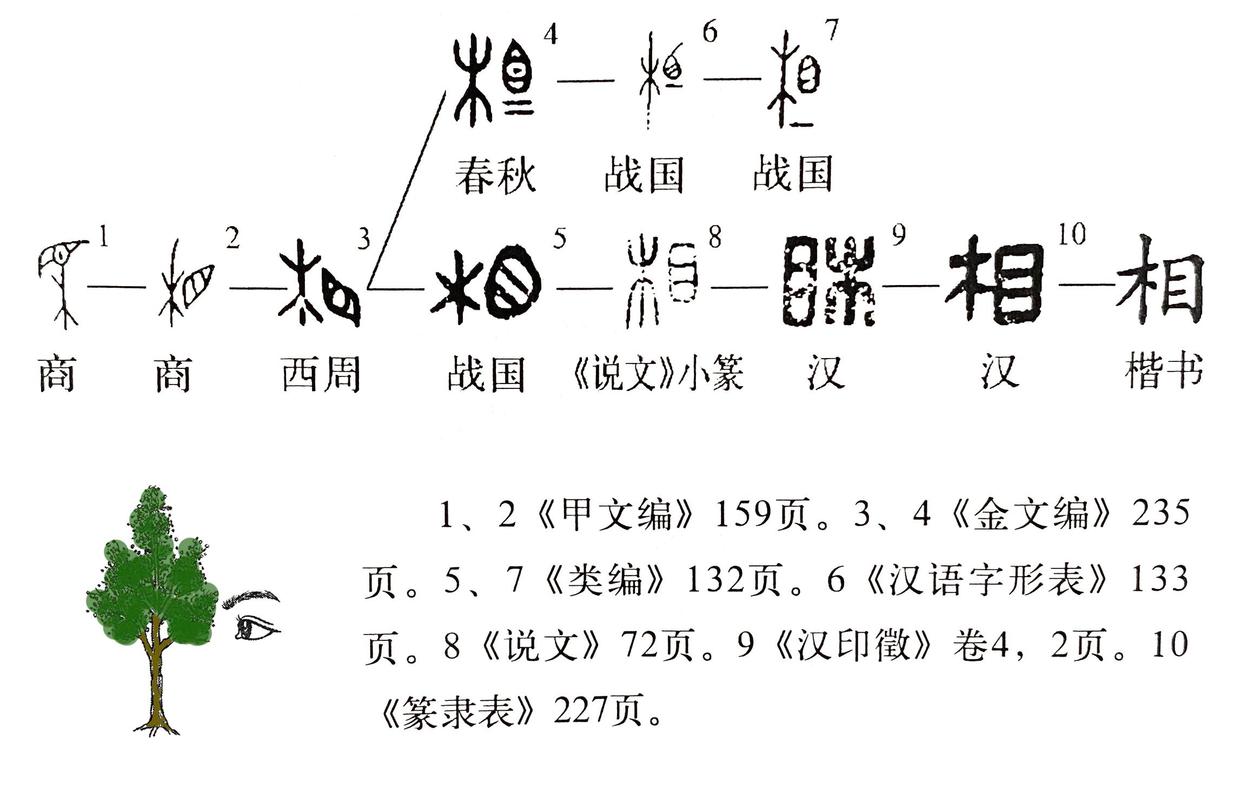 相字打一生肖最佳答案,相字打一生肖最佳答案是什么