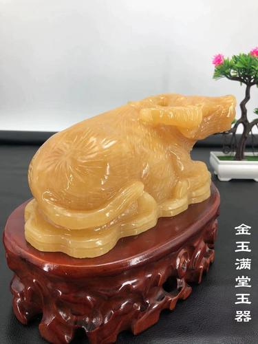 金玉满堂不适合生肖,金玉满堂的生肖有哪些