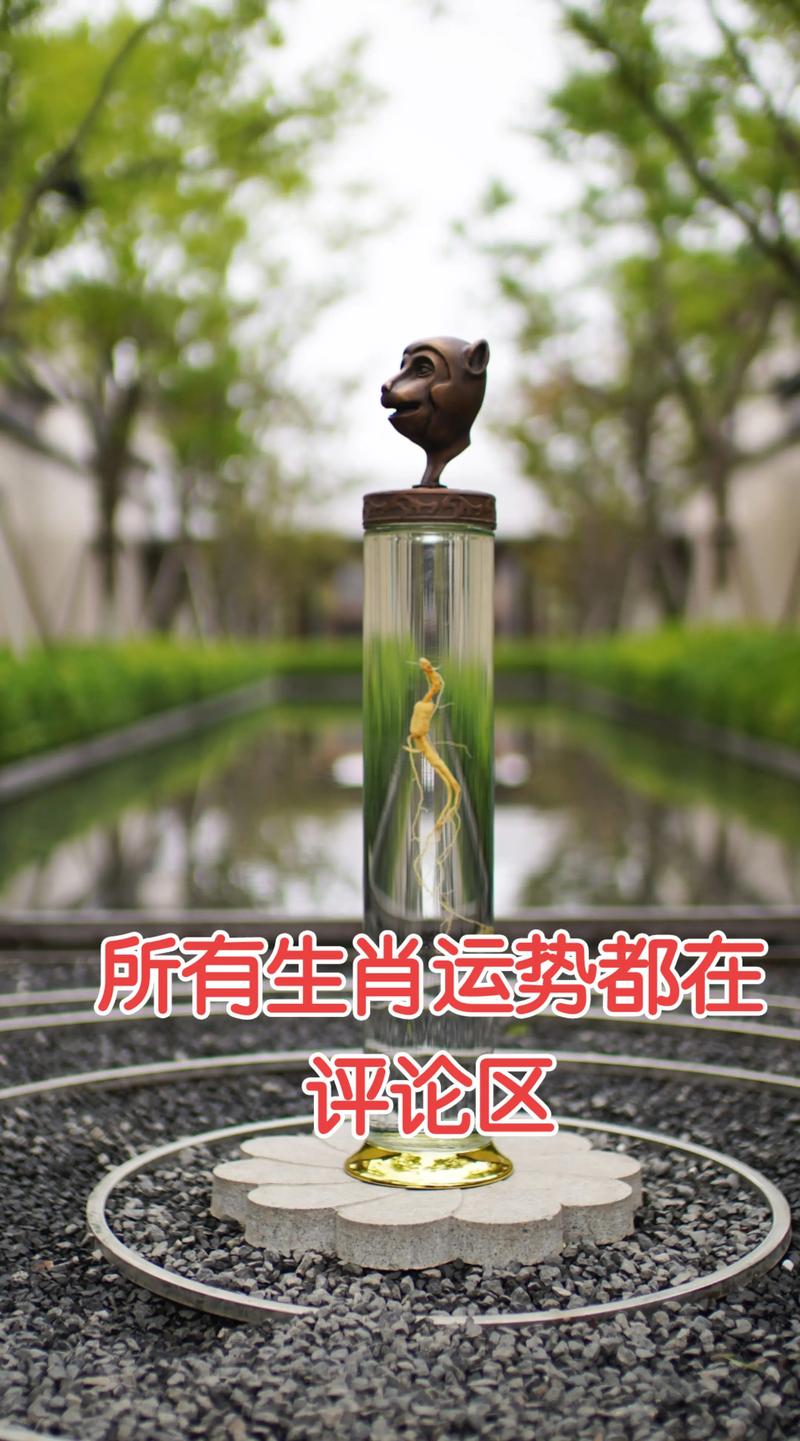 今期生肖二四开正确答案,今期生肖二四开打一最佳生肖