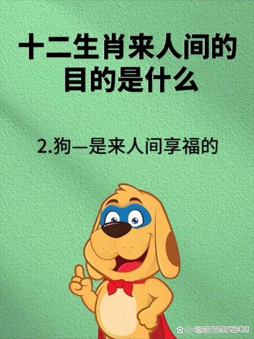 大愚若智打一正确生肖,大愚若智的意思是什么生肖