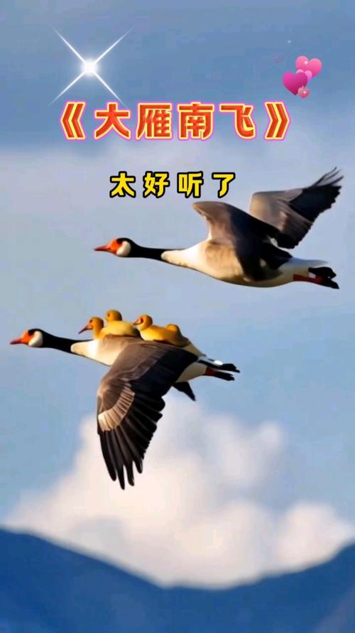 大雁南飞打一最佳生肖,大雁南飞属于什么动物名字