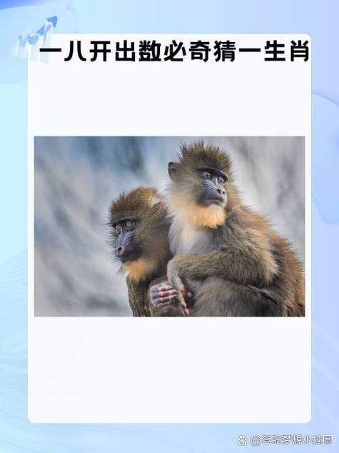 猜生肖谜底揭秘,猜生肖谜底揭秘是什么,重点诠释解释落实