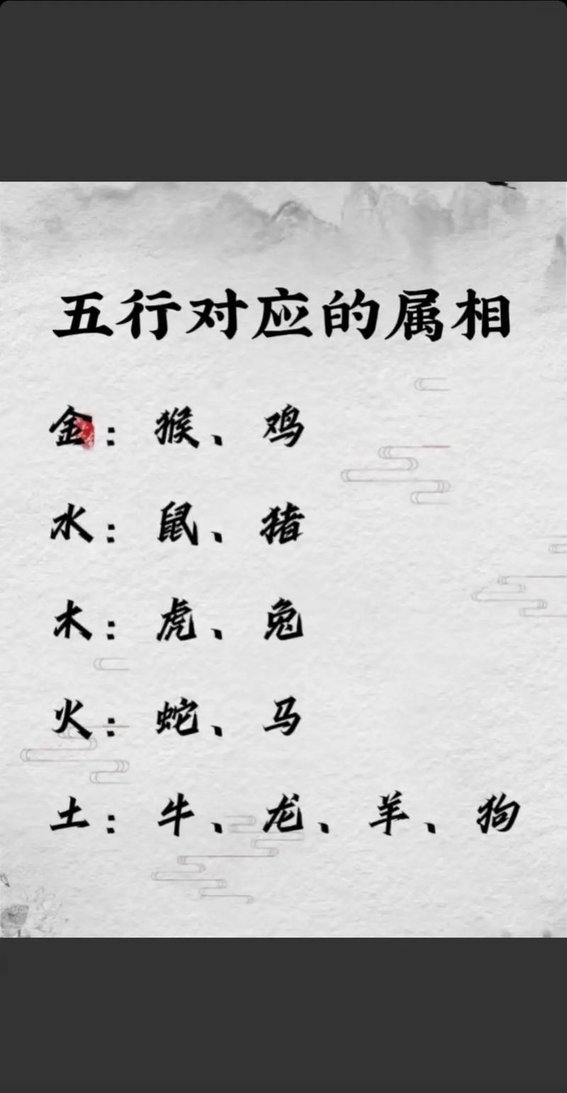 十二生肖哪个生肖最好,十二生肖哪个生肖最好,最有财运,重点诠释解释落实
