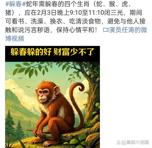 春天出什么生肖,春天出来的生肖是什么,重点诠释解释落实