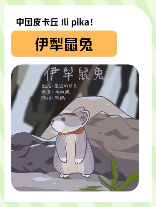 100种冷门动物名字,100种冷门动物名字图片,重点诠释解释落实