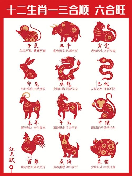 天生一等命的6个生肖,一等命的3个生肖,生来好运,一生顺利,重点诠释解释落实