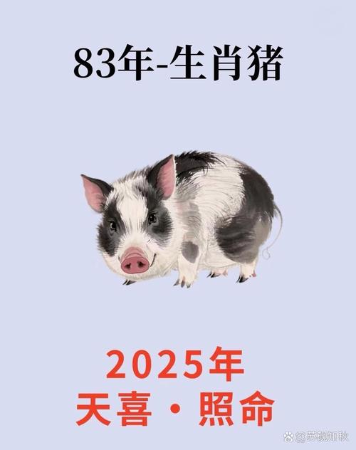 什么生肖旺猪爸爸,什么生肖旺猪爸爸的财运，重点诠释解释落实