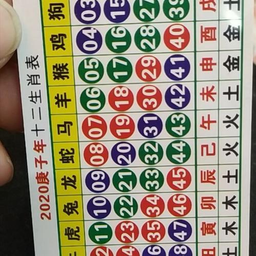 猜生肖网站,猜12生肖彩票的网站,重点诠释解释落实