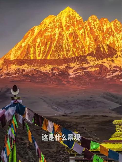 壮丽景观打一动物,壮丽景观的意思是什么,重点诠释解释落实