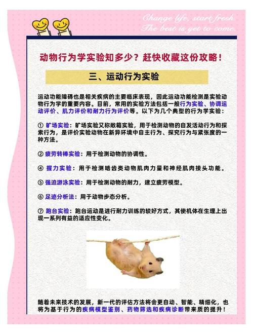 动物实验的方法,动物实验方法如何预防动物手术中可能的细菌感染,重点诠释解释落实