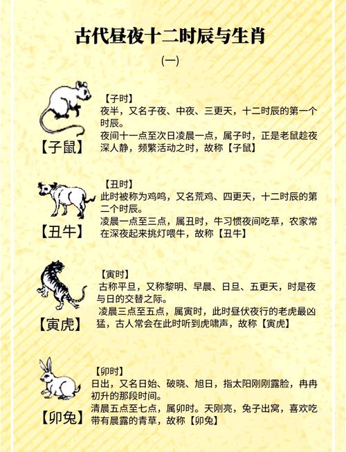 十二生肖属相是怎样排列的,十二生肖属相排序12属相排序，重点诠释解释落实