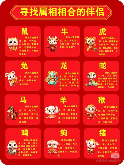 十二生肖对照表,买吗十二生肖对照表，重点诠释解释落实