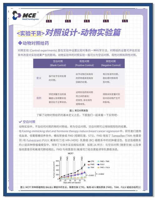动物实验可更好的了解动物,动物实验可更好的了解动物的特点，重点诠释解释落实