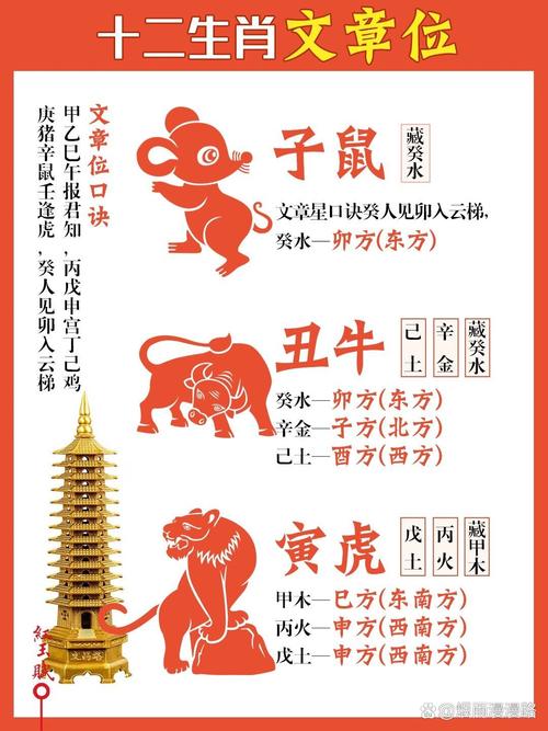 作息规律指什么生肖,作息规律指什么生肖数字,重点诠释解释落实