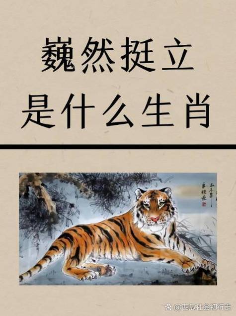 睬字打一生肖,睬字是什么生肖,重点诠释解释落实