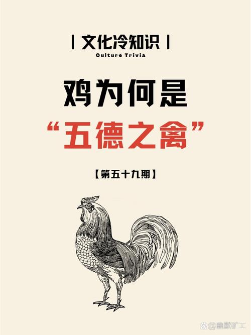 打一数字禽,禽代表什么什么生肖,重点诠释解释落实