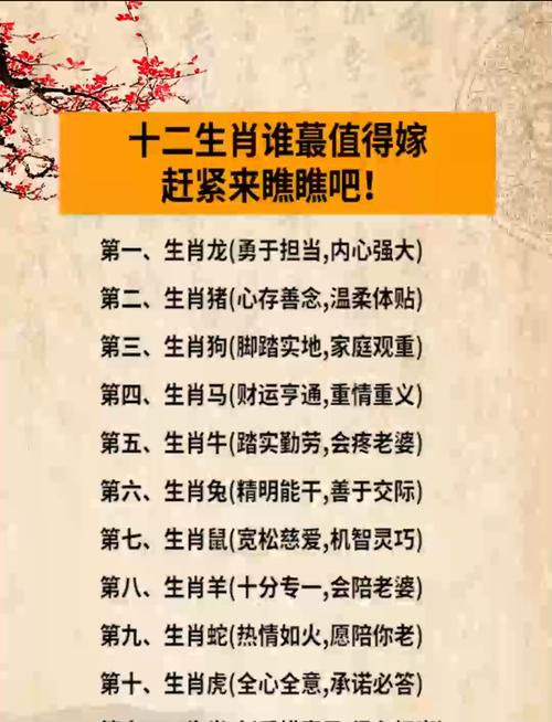12生肖大细来正确答案,十二生肖大细来指什么生肖,重点诠释解释落实
