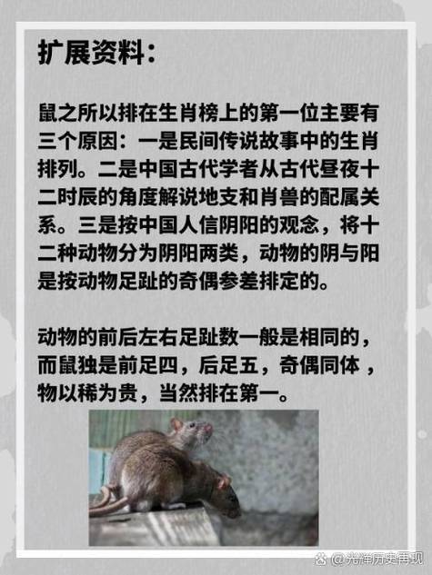 今期生肖出英雄打一动物,今期生肖出英雄是什么意思,重点诠释解释落实