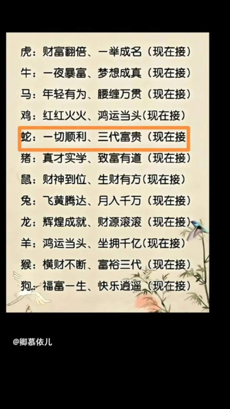 波字解生肖,波打一生肖是什么动物,重点诠释解释落实