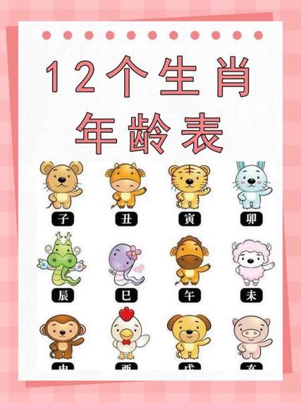 十二生肖表图片大全,十二生肖对应年龄表图片,重点诠释解释落实