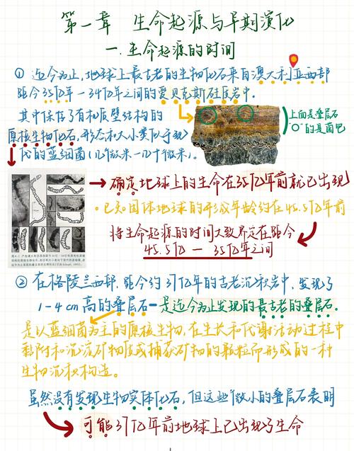 生物起源说基本观点,生物起源说观点和代表人物,重点诠释解释落实