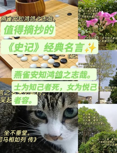 千金之裘文言文翻译,千金之裘非一狐之腋也台榭之榱非一木之枝也读音，重点诠释解释落实