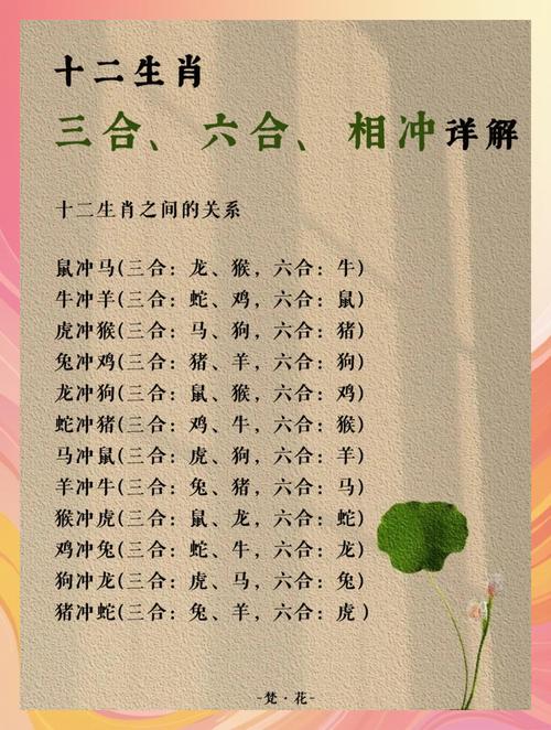 鼠生肖跟什么生肖合得来,生肖鼠和什么生肖最配,不会犯冲，重点诠释解释落实