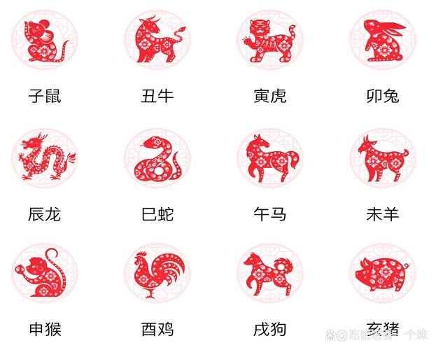看一下生肖画的图片,看一下生肖画的图片大全，重点诠释解释落实