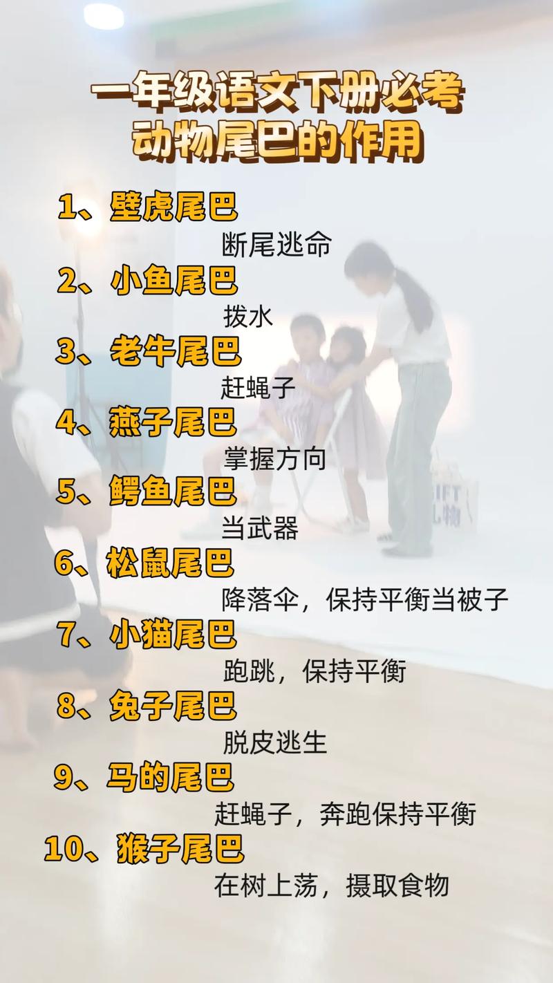 关于动物尾巴的谜语,关于动物尾巴的谜语怎么说，重点诠释解释落实